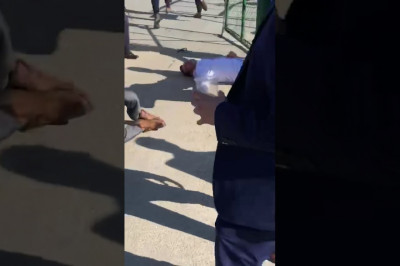 Свадьба без драки - не свадьба 