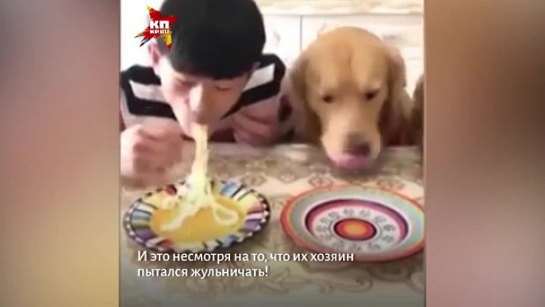 Парень соревнуется со своей собакой 