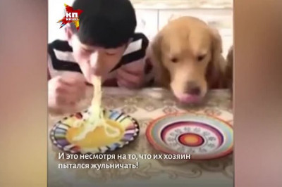 Парень соревнуется со своей собакой 