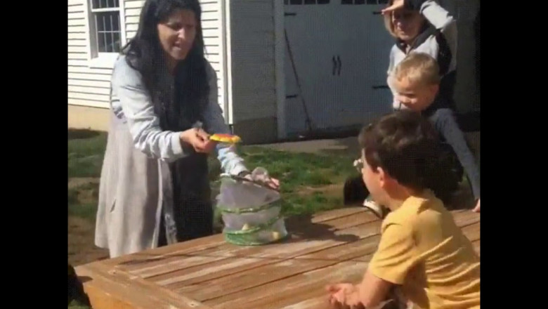 Короткая жизнь бабочки 