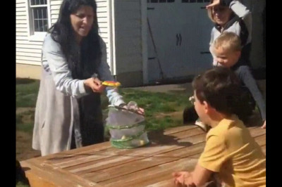 Короткая жизнь бабочки 