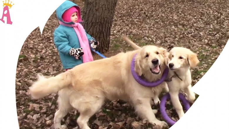 Малышка  и её  друзья 