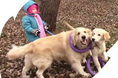 Малышка  и её  друзья 