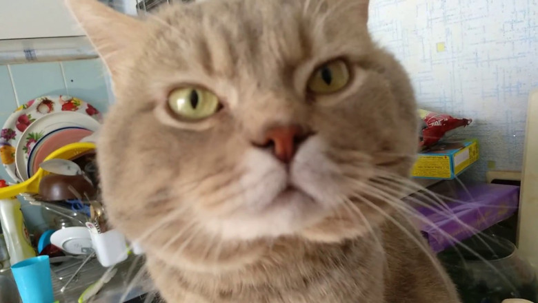 Признание в любви 