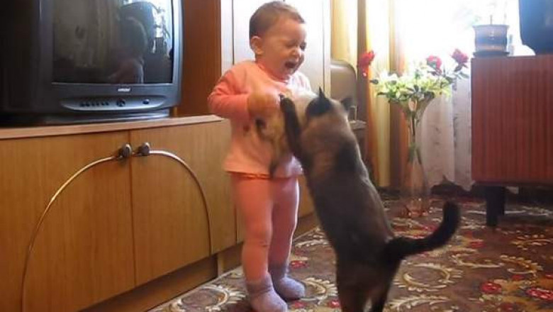 Это , тебе , не игрушка !