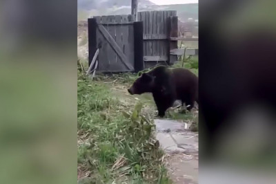 Безбашенные люди 