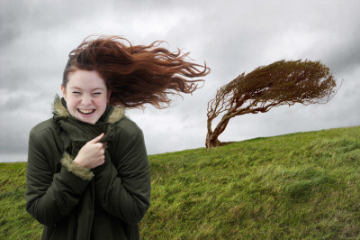 Вот это ветерок !