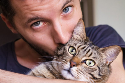 Вот как мы умеем просить !