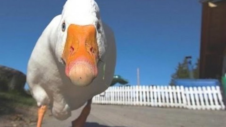 Когда мучаешься дурью