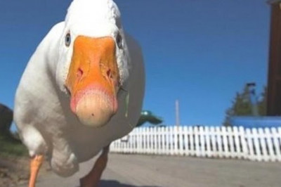 Когда мучаешься дурью