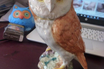 Сова на фоне порнозвёзд 