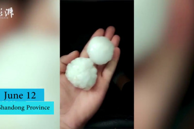 Крупный град пробил толстую кожуру арбузов 