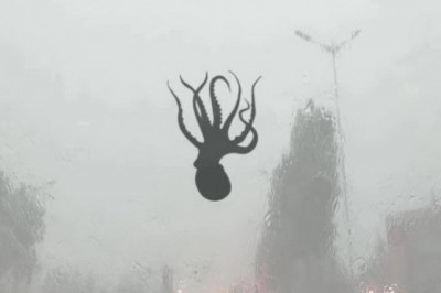 Дары моря упали с неба 