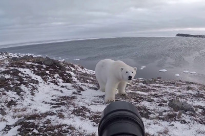 Рискованные съёмки 