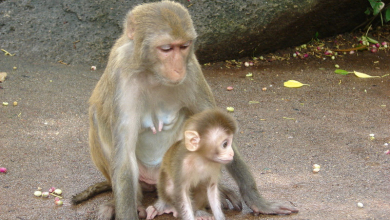 Тяжёлая женская доля 