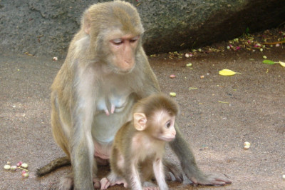 Тяжёлая женская доля 