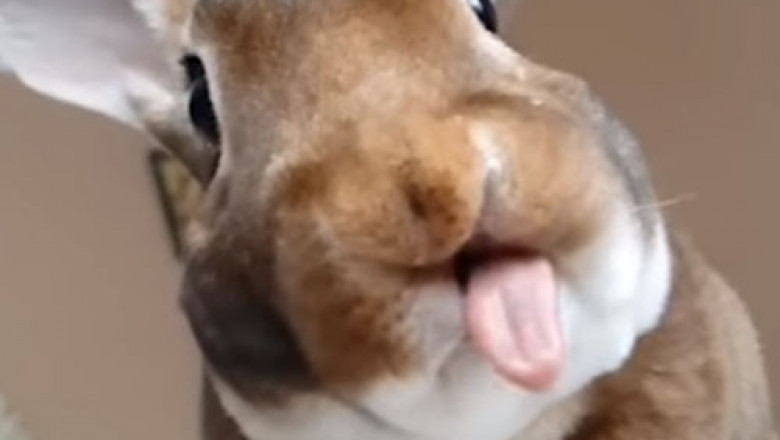 Как же вкусненько !...