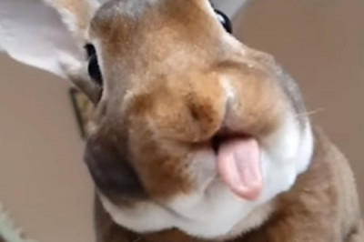 Как же вкусненько !...