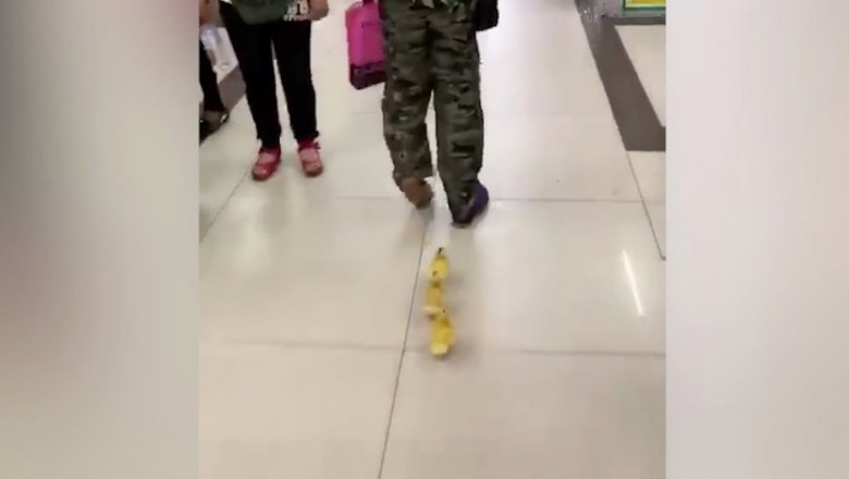 Утята в торговом центре 