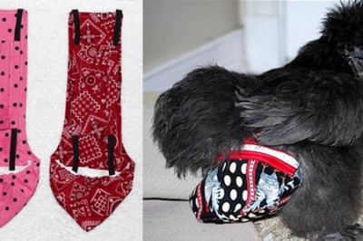 Американка 