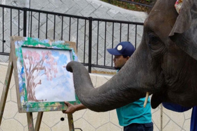 Слониха нарисовала сакуру 