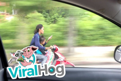 Безрассудная мать 