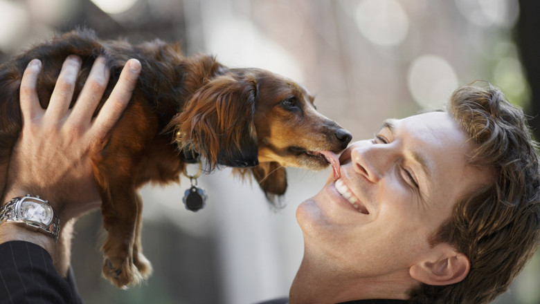 Хозяева и их забавные питомцы 