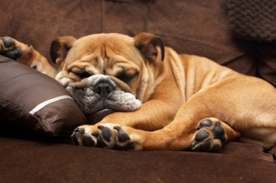 Когда занимаешь чужое место 