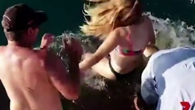 Неудачное кормление акулы 