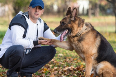 Результат воспитания 