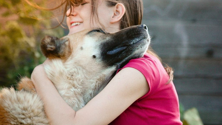 Собаки , дарящие позитив 