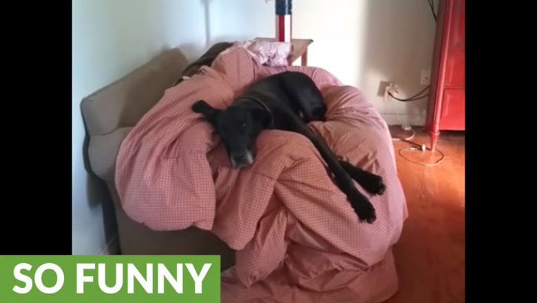 Когда не хочешь отвечать за свои поступки 