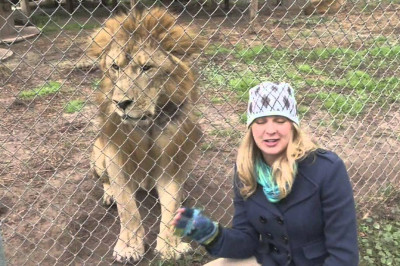 Старый лев и журналистка 