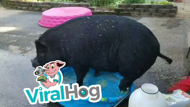 Если очень жарко 