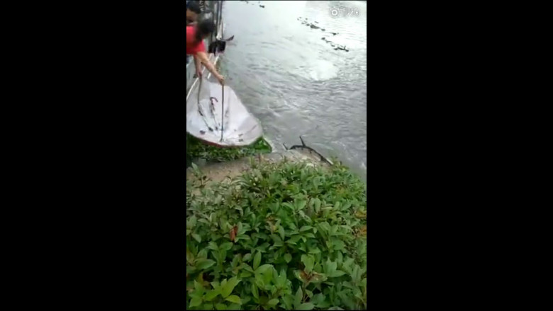 Рыбалка с помощью зонтика 