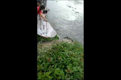 Рыбалка с помощью зонтика 