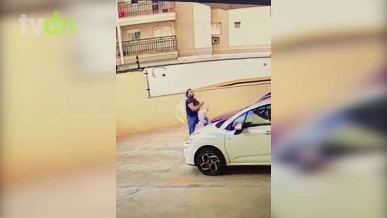 Мужчина спас падающую собаку 