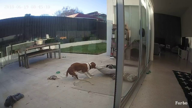 А не пошёл бы ты погулять ...