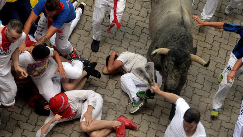 Мужчина с ребёнком на корриде  с быком 