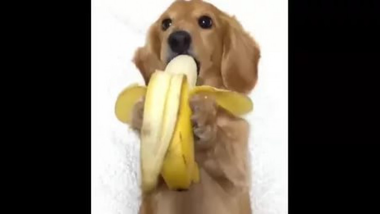 Ах , как вкусно !..