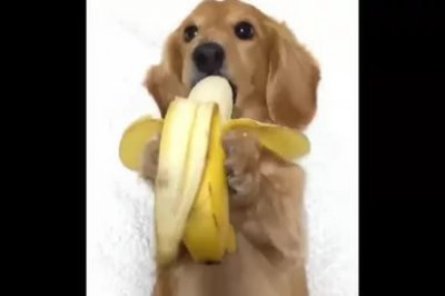 Ах , как вкусно !..