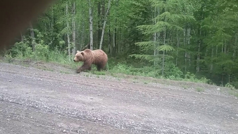 Обычное явление для Якутии 