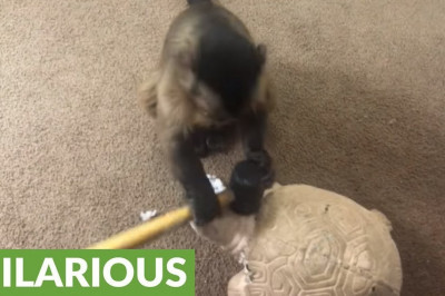 Явно чем-то не понравилась ...