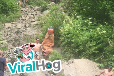 Завидная ловкость 