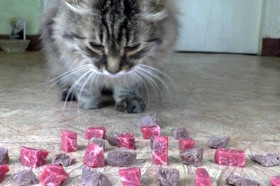 Варёная или сырая говядина ?