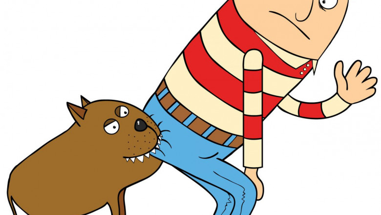 Собака привела в чувство 