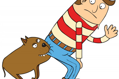 Собака привела в чувство 