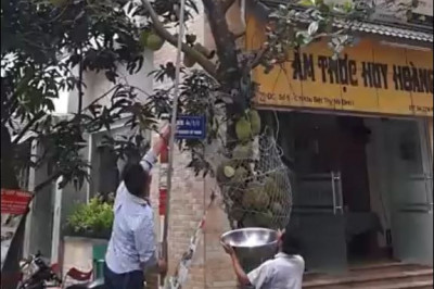 Любопытный способ