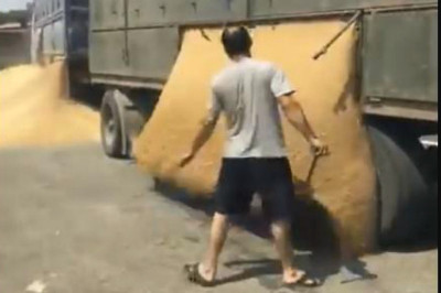 Беспредел перевозчиков 