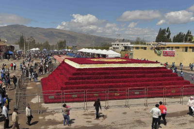 Пирамида из полумиллиона роз 